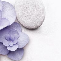 Introducing MN Exclusive Spa Facials